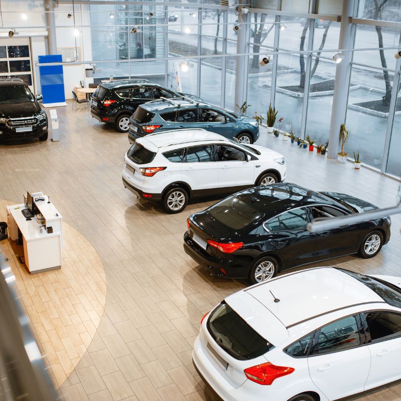 Clean and polished car dealership showroom in Seattle
