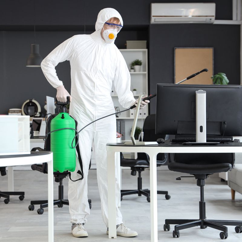 Cleaning professional disinfecting office workstations in Seattle